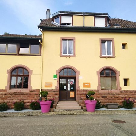 Camping Les Lupins Seppois-le-Bas Exterior foto