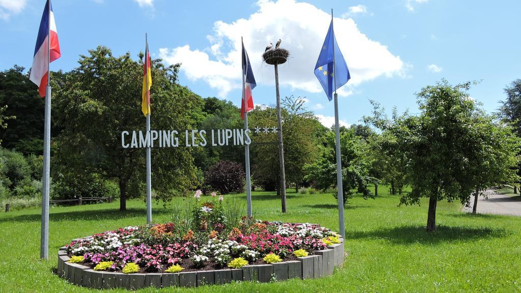 Camping Les Lupins Hotel Seppois-le-Bas Exterior foto